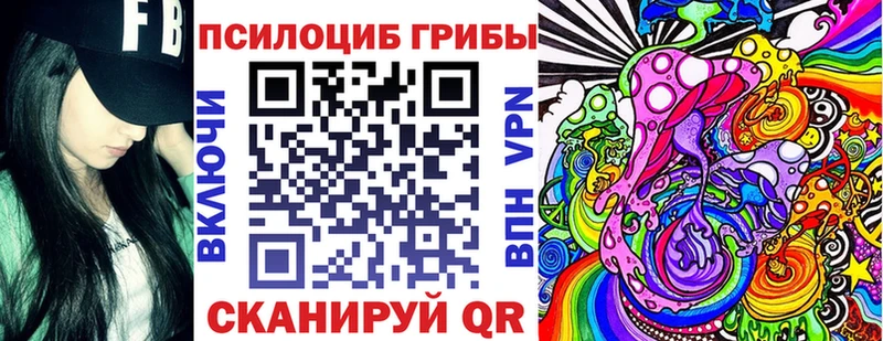Псилоцибиновые грибы Psilocybe  ОМГ ОМГ онион  площадка наркотические препараты  Снежногорск 
